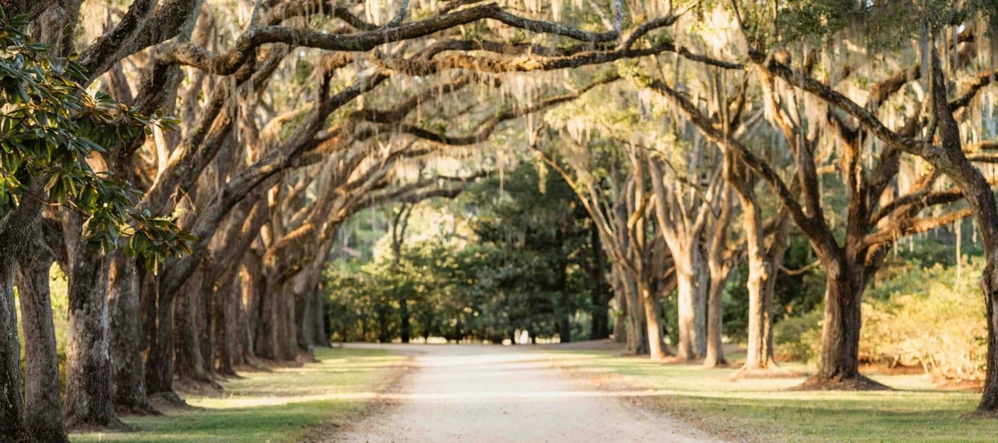 Charleston — Lowcountry · Coastal South
